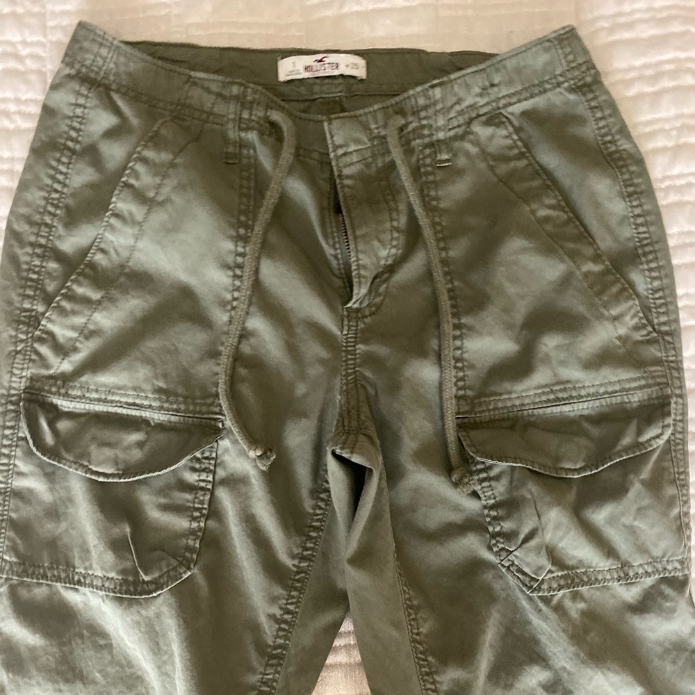 Hollister cargo ants